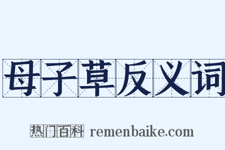 母子草反义词是什么意思的图片